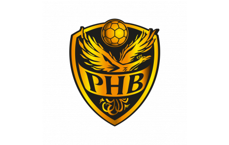 PORTERIE HANDBALL