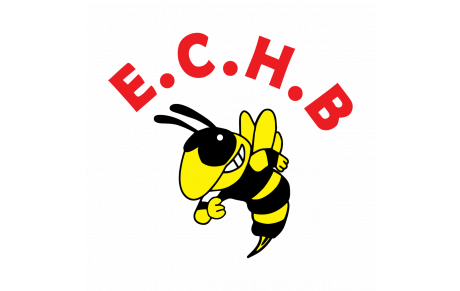 ECLAIR CHAUVE HANDBALL